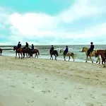 Fewo Uhlnuest All Inclusive * Gelbensande