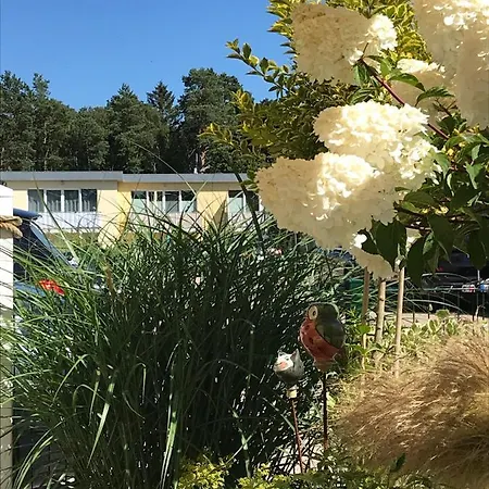 Ostsee-ferienwohnung Uhlnuest Graal-mueritz 아파트