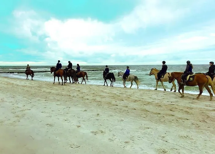 Ostsee-ferienwohnung Uhlnuest Graal-mueritz * Gelbensande