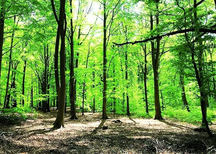 Ostsee-ferienwohnung Uhlnuest Graal-mueritz Apartamento Gelbensande