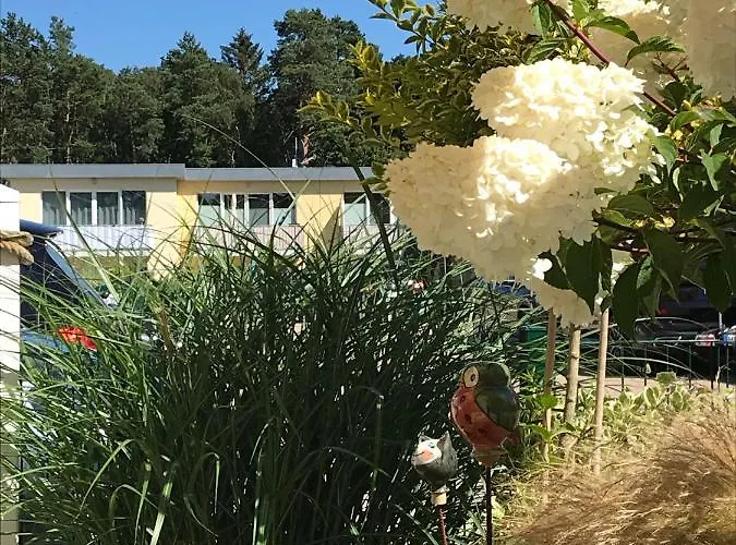 Ostsee-ferienwohnung Uhlnuest Graal-mueritz Apartamento